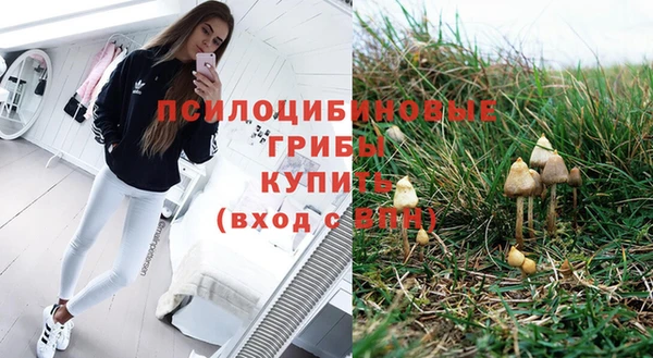 первитин Алексин