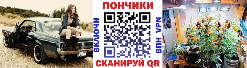 Шишки марихуана тримм  Краснообск 